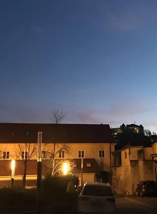Sunny Home With Cute Dragon In The Center+Parking Lublaň Slovinsko